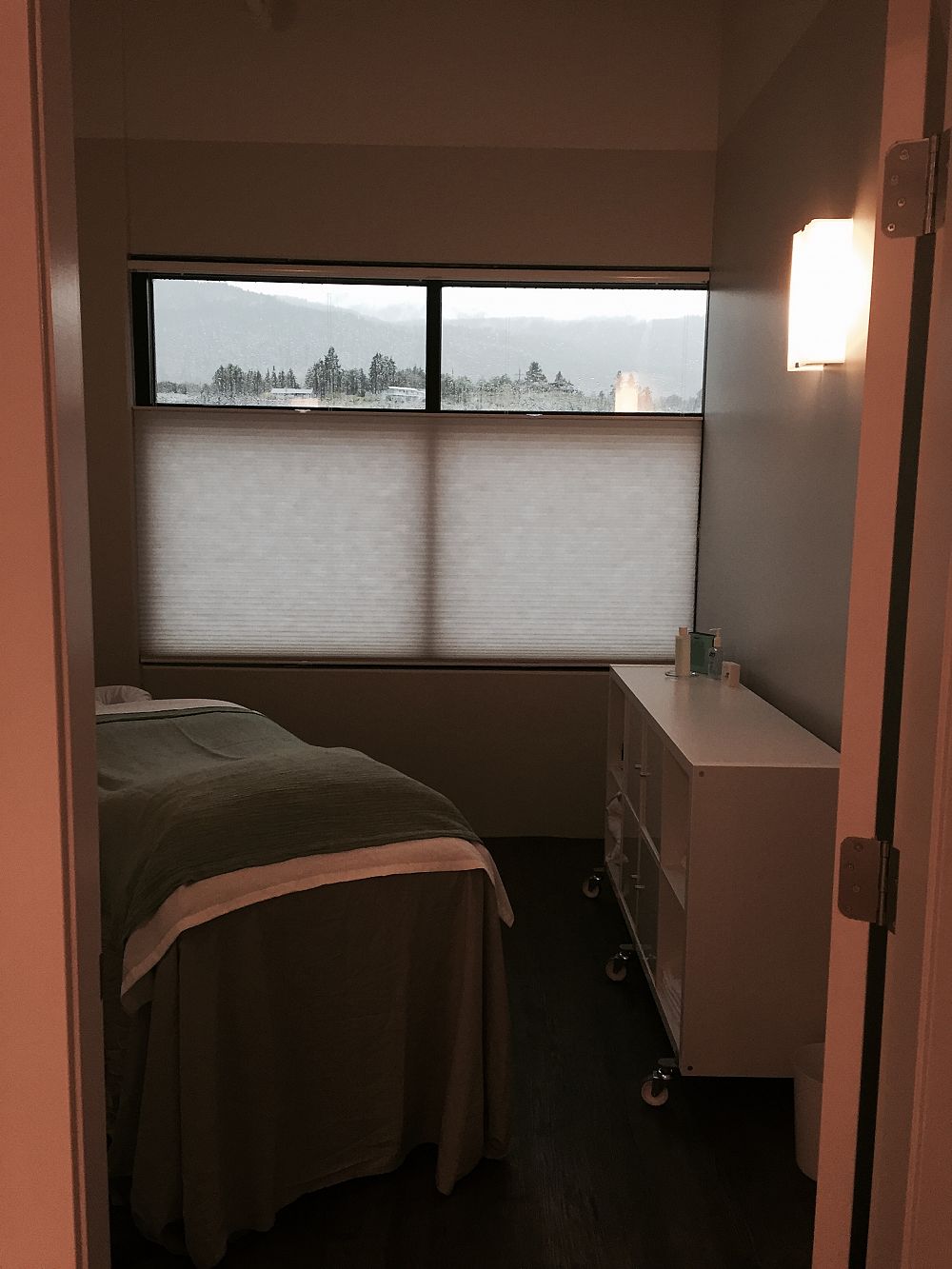 Allyson Vollmer, Registered massage therapist | 202-300 Riverside Drive Penticton, BC, Penticton, BC V2A 5Y5, Canada | Phone: (250) 809-5314