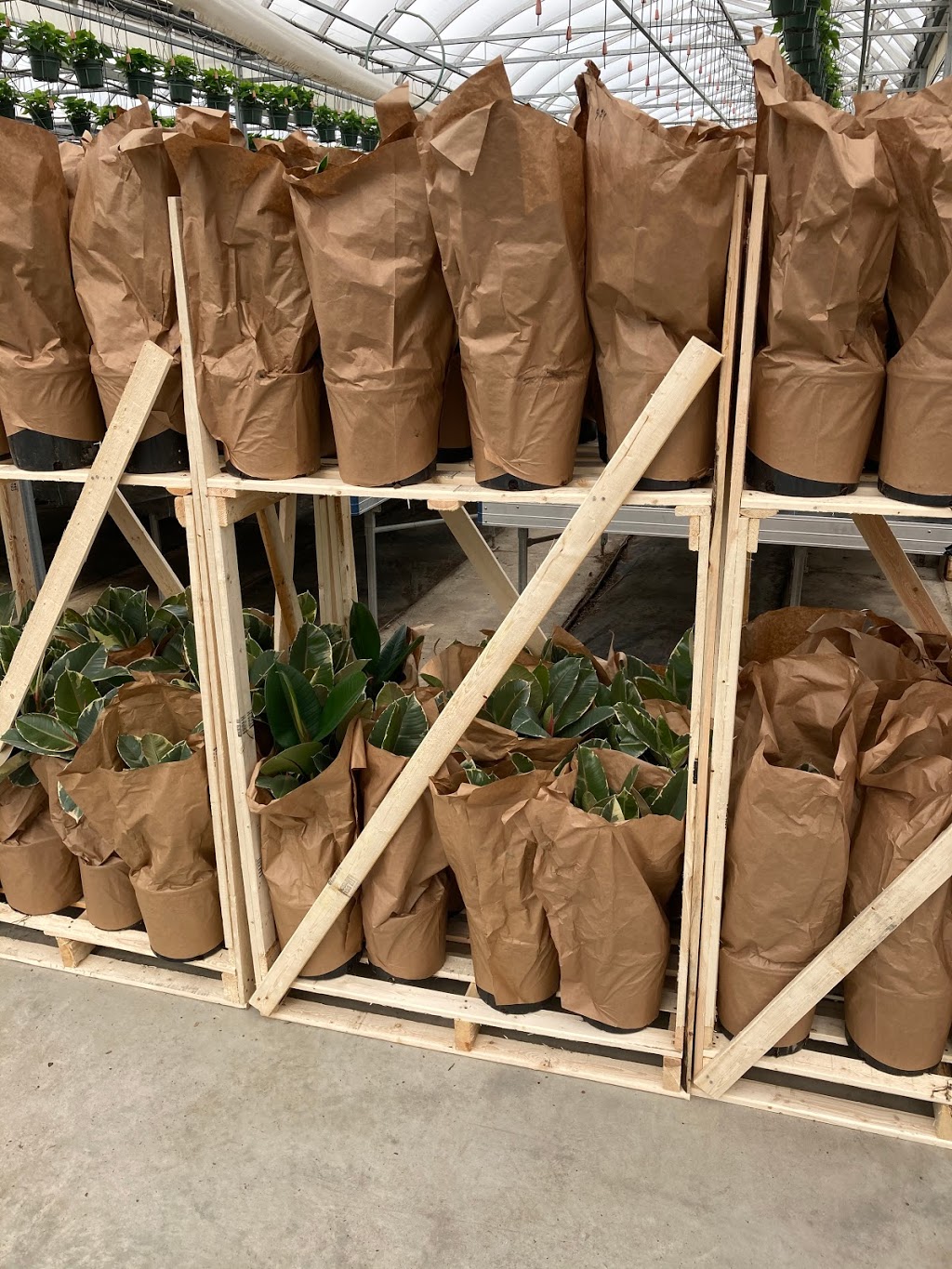 Tropical Trading Co. | 1222 Norfolk County Rd 19, Wilsonville, ON N0E 1Z0, Canada | Phone: (519) 755-1285