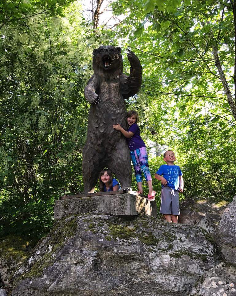 Emory Bar Rv Park | B, Fraser Valley B, BC V0K 2S0, Canada | Phone: (604) 863-0033