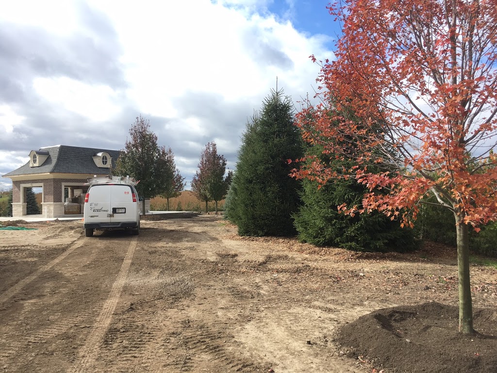Treemaster Transplanters Ltd. | 3440 17th Sideroad, King City, ON L7B 1K4, Canada | Phone: (905) 773-2221