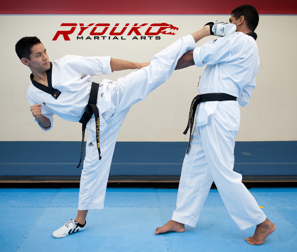 Ryouko Martial Arts | 91 Rylander Blvd, Scarborough, ON M1B 5M5, Canada | Phone: (416) 284-8861