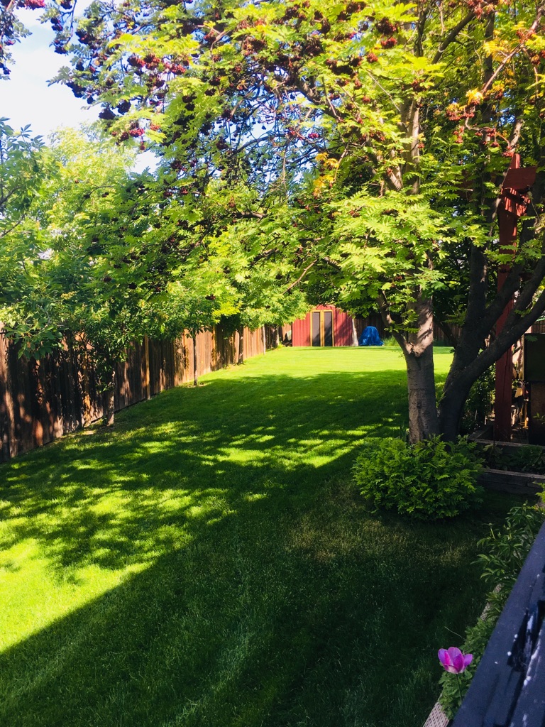 Kootenay Lawn Doctor Inc | 564 Industrial Road B, Cranbrook, BC V1C 1W4, Canada | Phone: (250) 489-2031