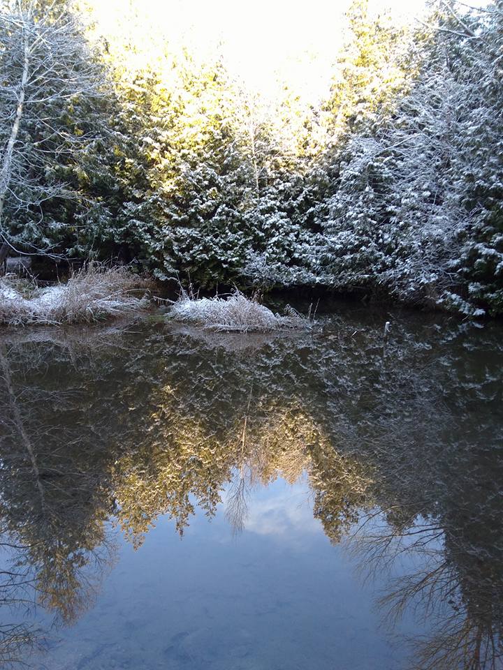 Crystal Roots Retreats | 605138 River Rd, Hornings Mills, ON L9V 2V4, Canada | Phone: (519) 925-3593