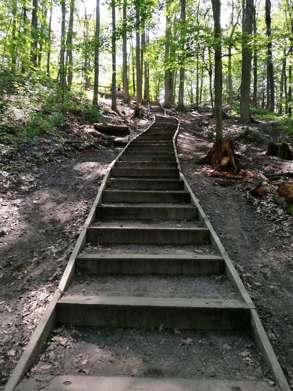 Thornton Bales Conservation Area | 19th Sideroad, King, ON L7B 1K5, Canada | Phone: (905) 895-1281