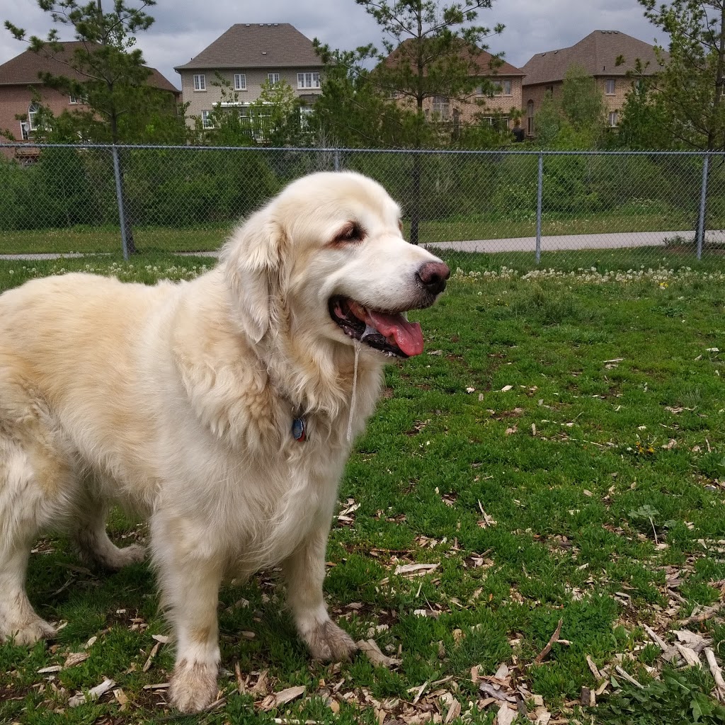Norton Leash Free Dog Park | 4613-, 4621 Cornerstone Dr, Burlington, ON L7R 3X4, Canada