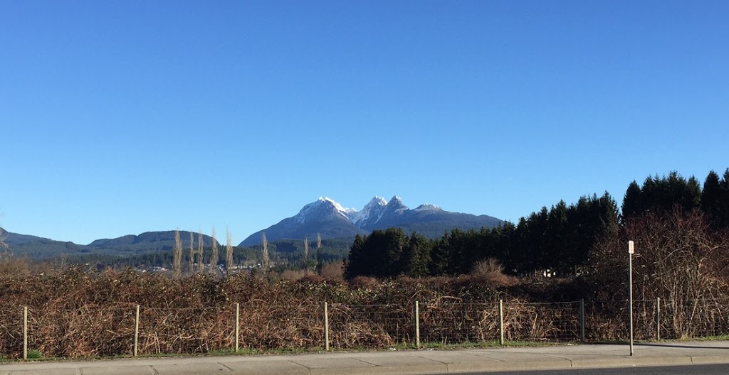 St George Maple Ridge | 23500 Dewdney Trunk Rd, Maple Ridge, BC V2X 3L8, Canada | Phone: (604) 463-9622