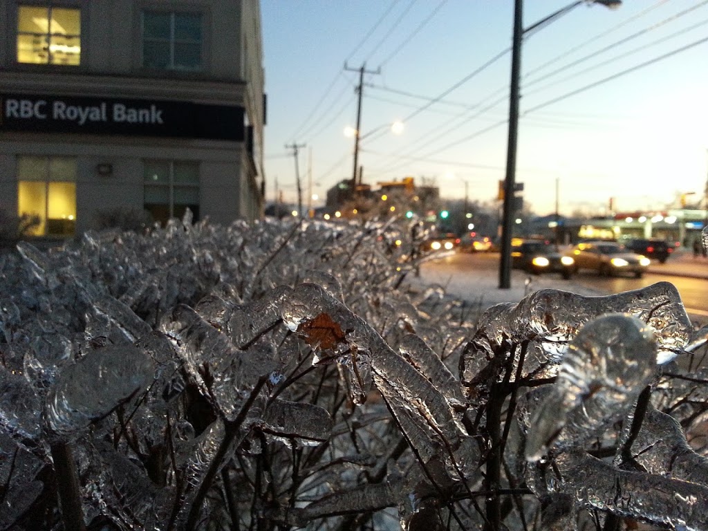 RBC Royal Bank | 4401 Bathurst St, North York, ON M3H 3R9, Canada | Phone: (416) 632-7900