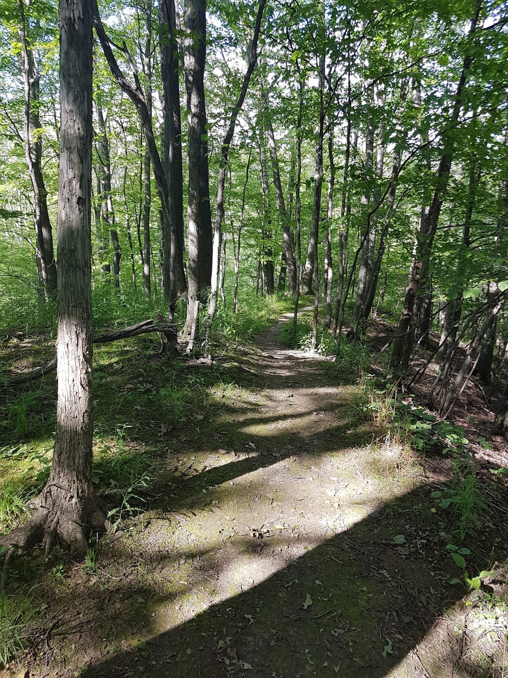 Robert E. Wade Ancaster Community Park | 385 Jerseyville Rd W, Ancaster, ON L9G 5C3, Canada | Phone: (905) 546-2489