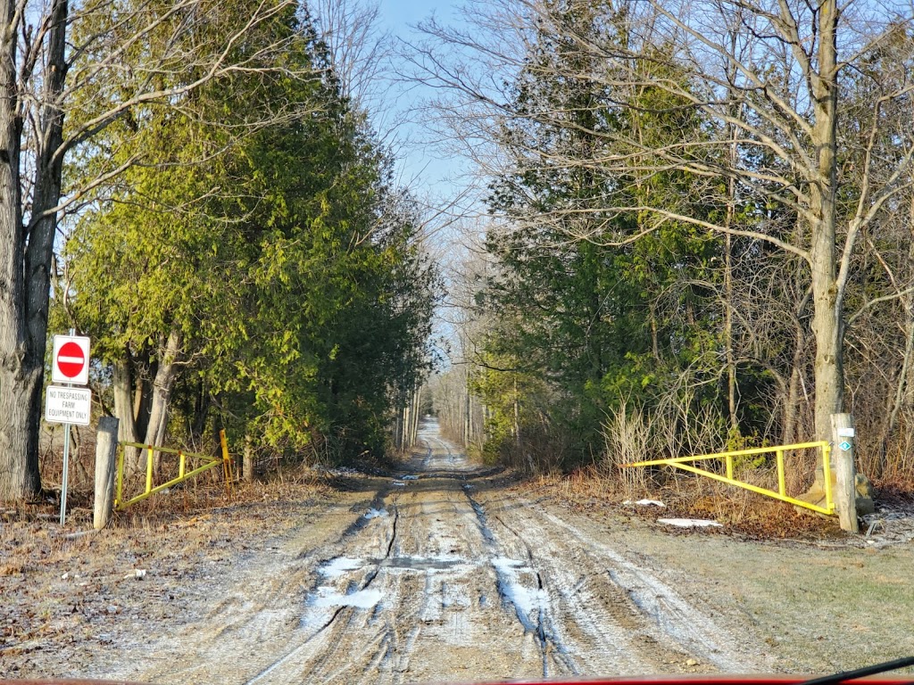 T Frey Mfg. | 772410 ON-10, Dundalk, ON N0C 1B0, Canada | Phone: (519) 923-3737