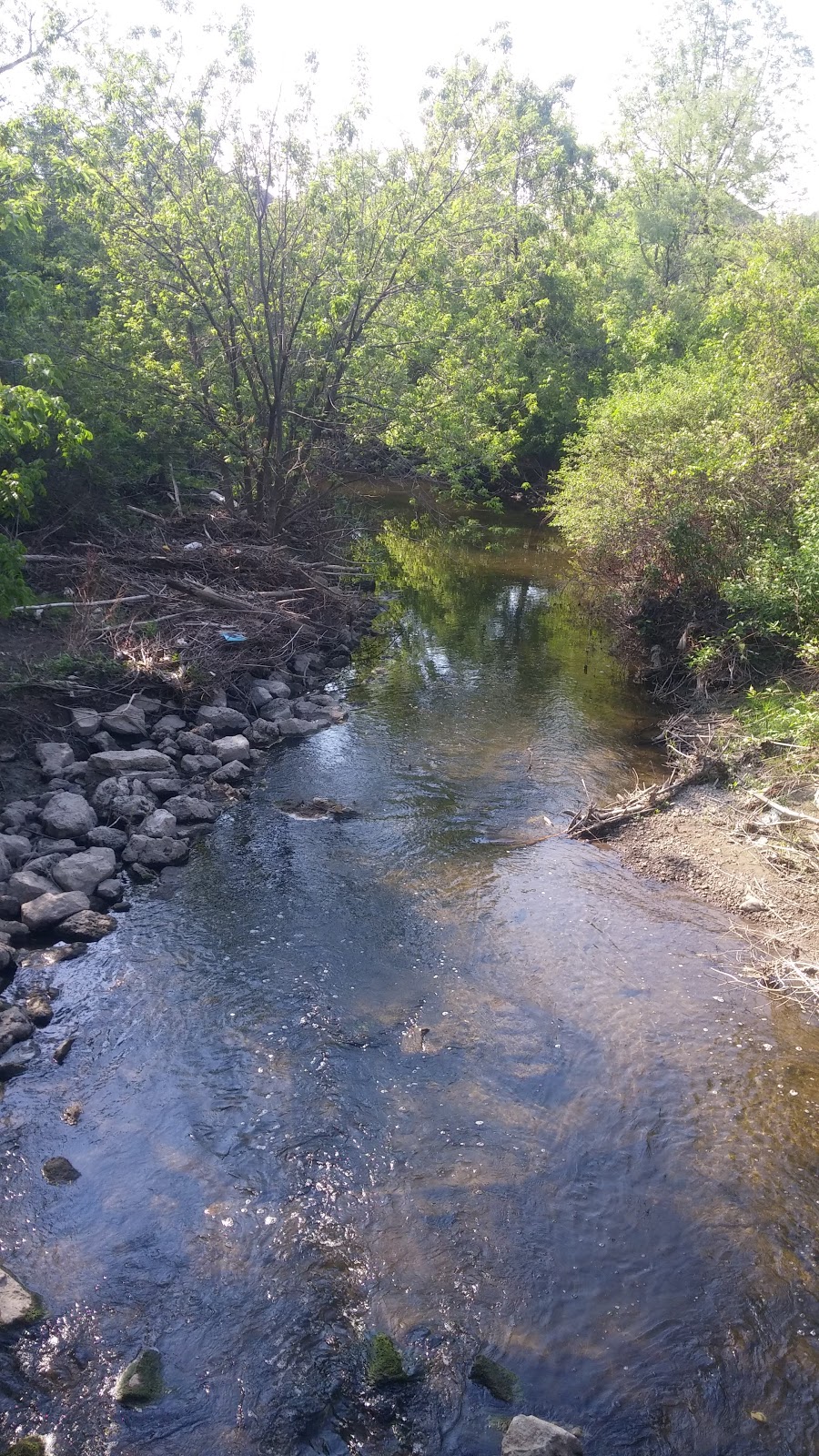 Sheffield Park West | Etobicoke Creek Trail, Brampton, ON L6V 4K5, Canada