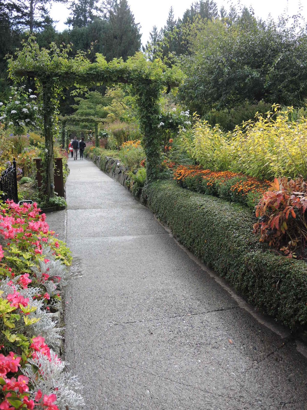 Rose Garden | Brentwood Bay, BC V8M 1A6, Canada