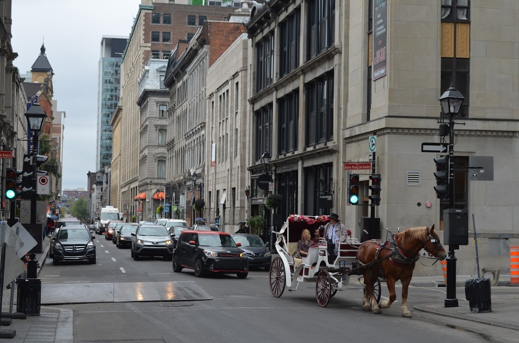 Hotel Le Mirage | 365 Boul Sir-Wilfrid-Laurier, Saint-Basile-le-Grand, QC J3N 1M2, Canada | Phone: (450) 461-1571
