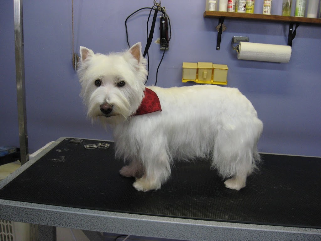 Aux PTits Soins | 191 QC-216, Stoke, QC J0B 3G0, Canada | Phone: (819) 878-3246