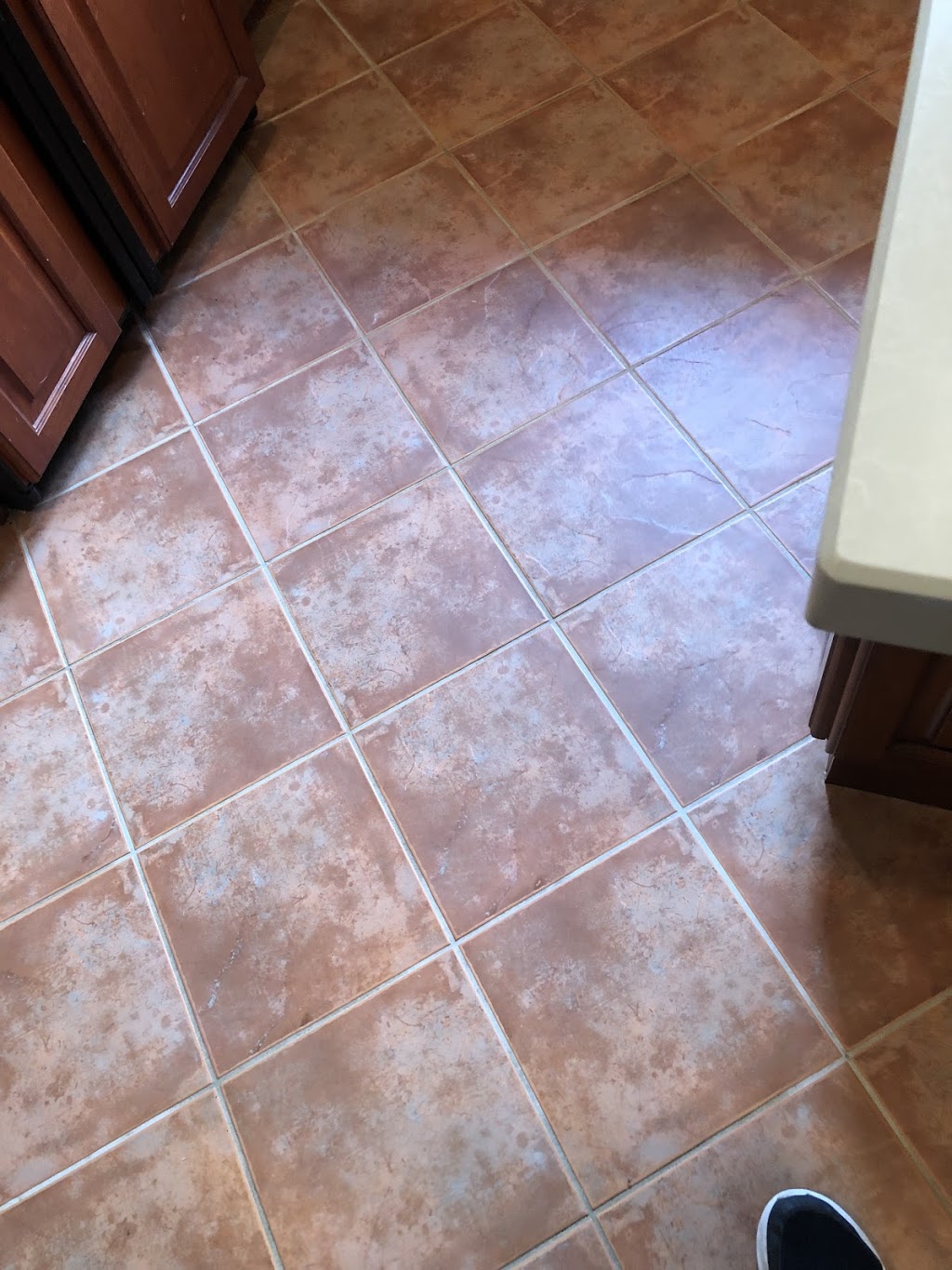 Go Green Cleaning | 152 Thicketwood Dr, Scarborough, ON M1J 2A3, Canada | Phone: (416) 820-9162