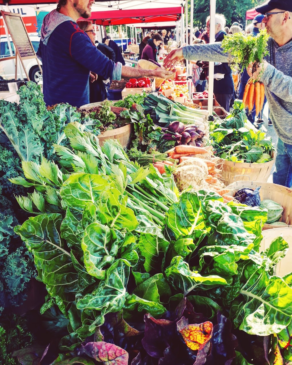 Deschambault Public Market | Rue de lÉglise, Deschambault, QC G0A 1S0, Canada | Phone: (418) 326-2733