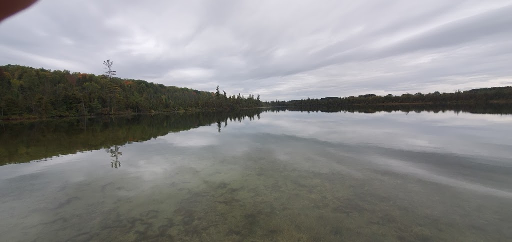 Loon Lake Resort | 302 Quin Mo Lac Rd, Madoc, ON K0K 2K0, Canada | Phone: (613) 473-0766