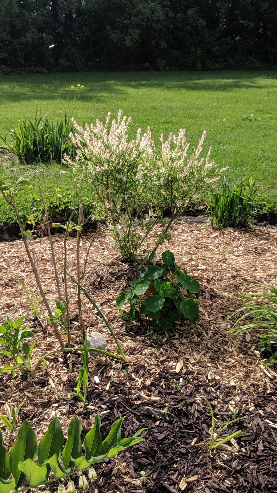 Milliken Landscaping | 1370 Scheel Dr, Braeside, ON K0A 1G0, Canada | Phone: (613) 623-8486