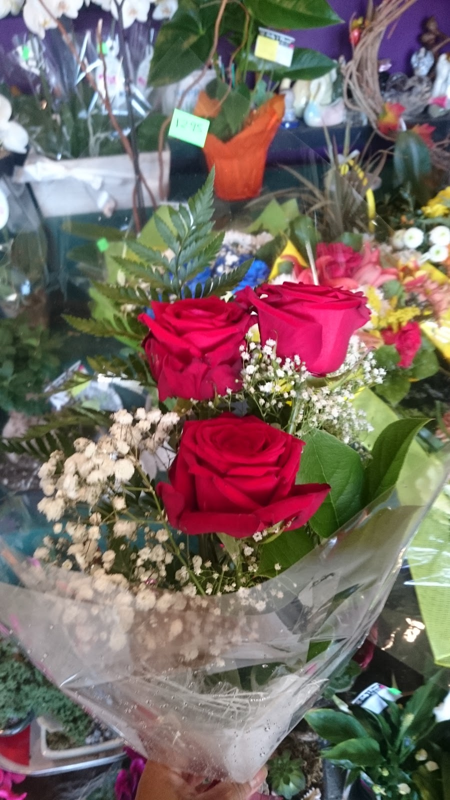 Sallys Florist | 12010 232 St, Maple Ridge, BC V2X 6T3, Canada | Phone: (604) 466-3103