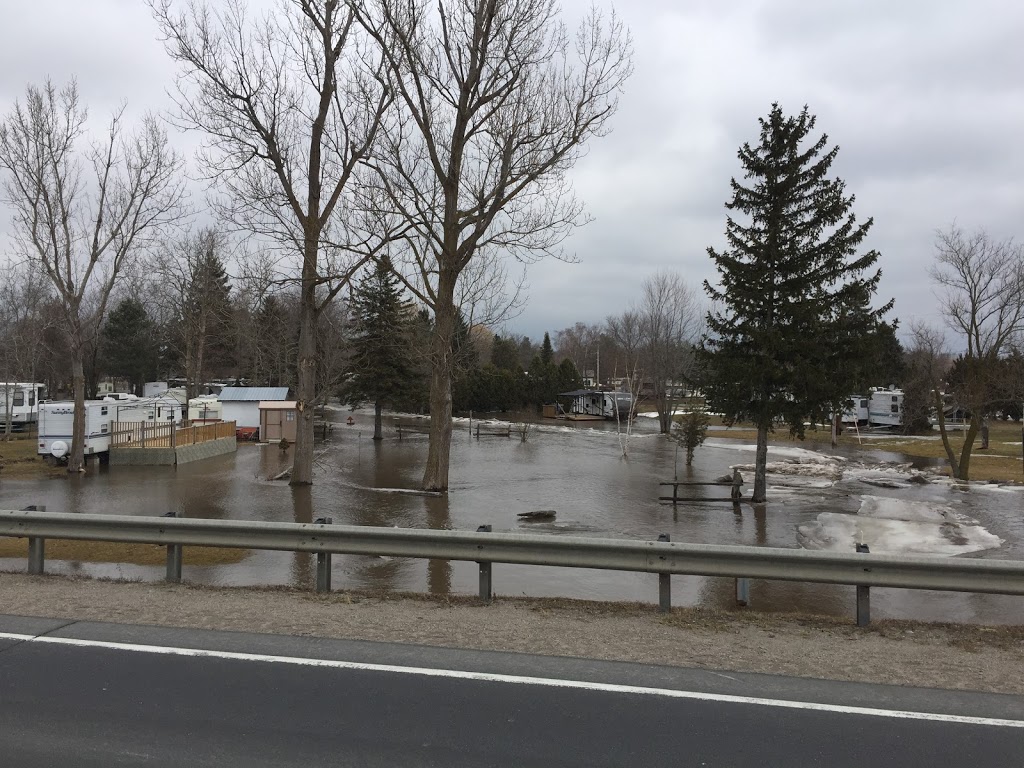 Egans Campground Inc | 4159 Regional Rd 50, Loretto, ON L0G 1L0, Canada | Phone: (705) 435-7140
