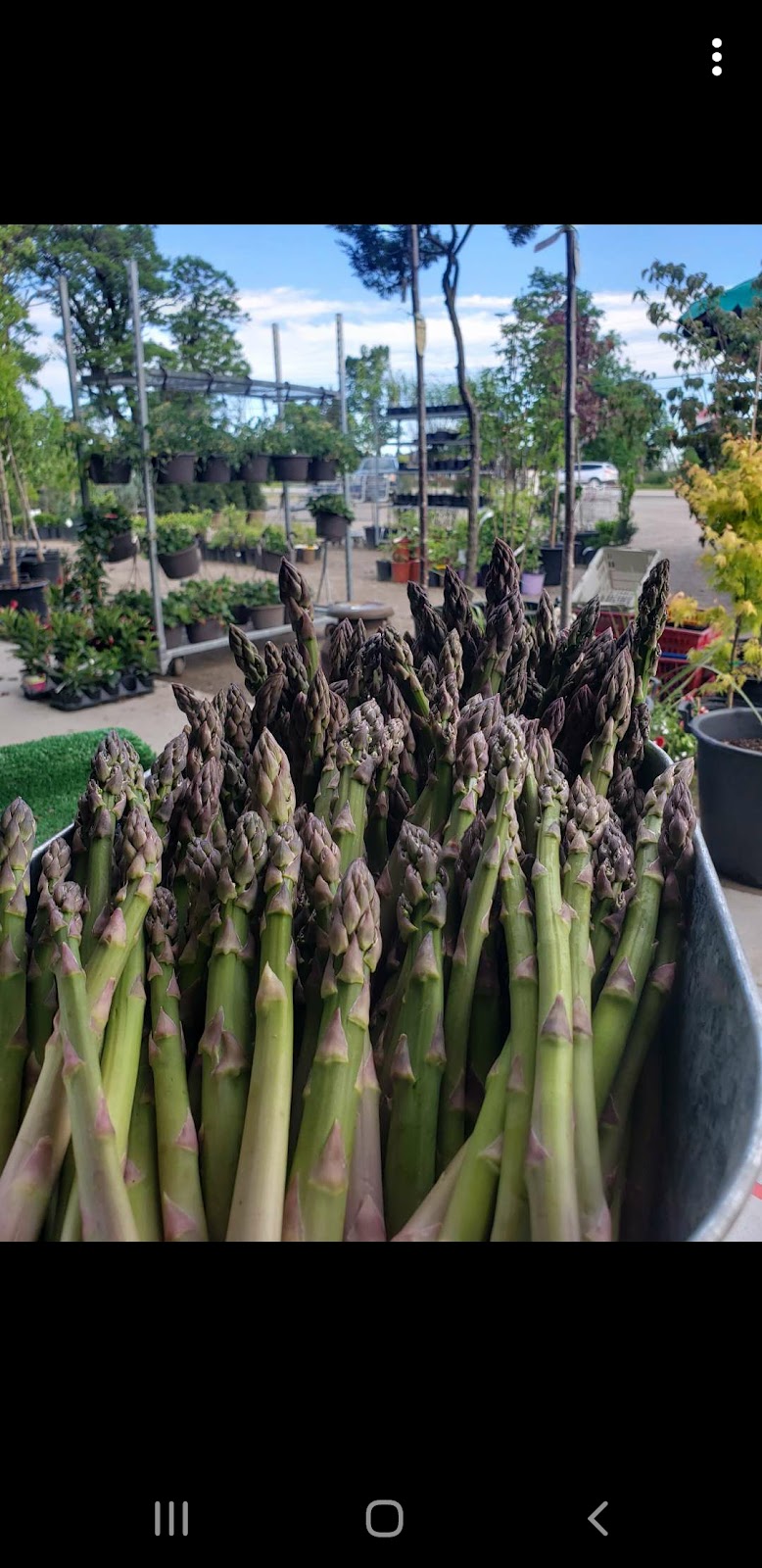 Farmer To You | 952 ON-5, Hamilton, ON L9H 5E2, Canada | Phone: (905) 628-2108