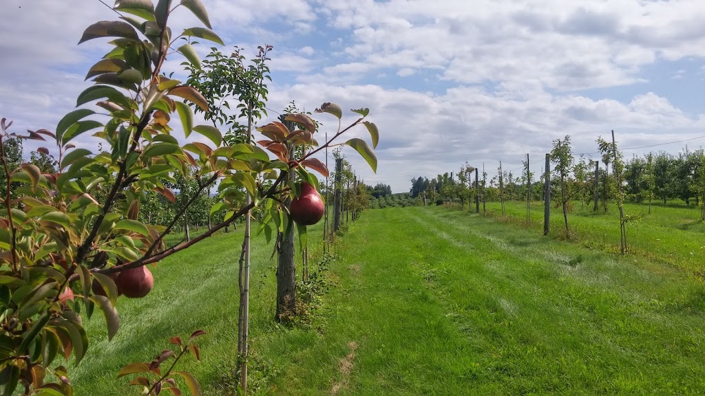 Verger et Cidrerie Ferland | 380 Chem. de la Station, Compton, QC J0B 1L0, Canada | Phone: (819) 835-5762