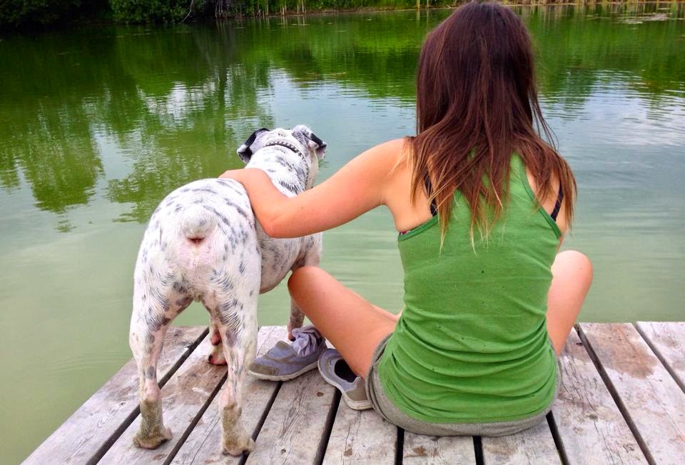 The Polite Pooch | Jonathan St, Uxbridge, ON L9P 1B5, Canada | Phone: (647) 268-3887
