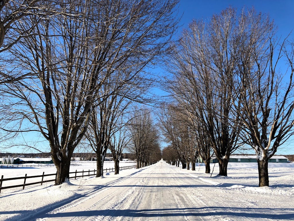 Deschambault Animal Science Research Centre | 120a Chem. du Roy, Deschambault, QC G0A 1S0, Canada | Phone: (418) 286-3353