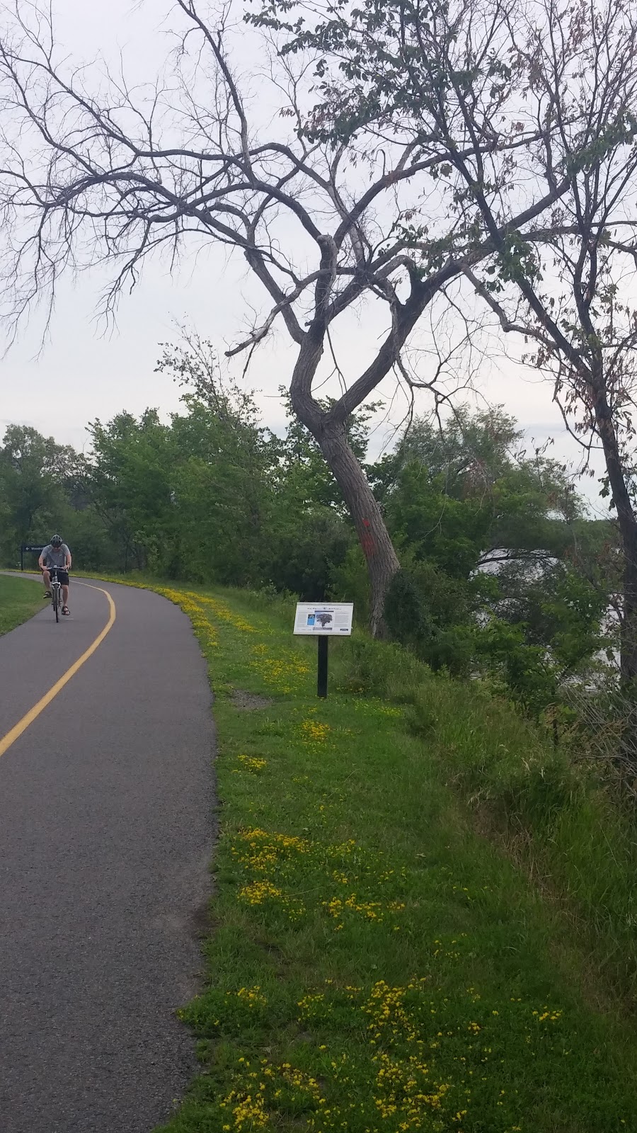 Grenfell Glen Park | Merivale Gardens - Grenfell Glen - Pineglen - Country Place, Ottawa, ON K2G, Canada