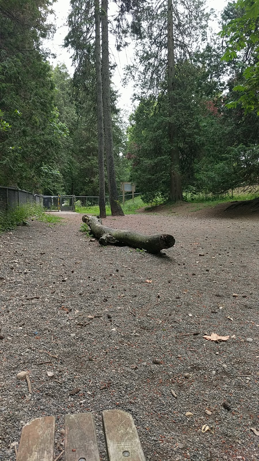 Queens Park Dog Park | Unnamed Road, New Westminster, BC V3L, Canada