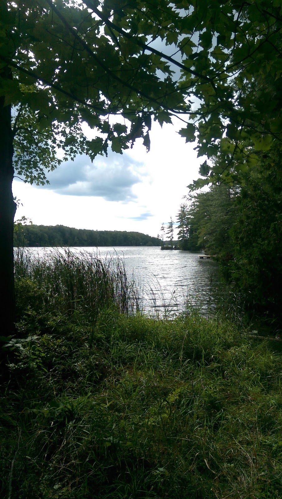 Cuddys Pine Cove | 1509 Gull Lake Ln, North Frontenac, ON K0H 1B0, Canada | Phone: (613) 336-8135