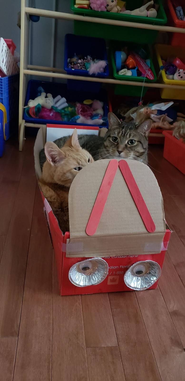 Pet Valu | 250 Greenbank Rd, Nepean, ON K2H 8X4, Canada | Phone: (613) 820-5915
