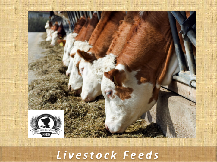 Shamel Milling Co. Inc | 9384 Genesee Rd, East Concord, NY 14055, USA | Phone: (716) 592-7700