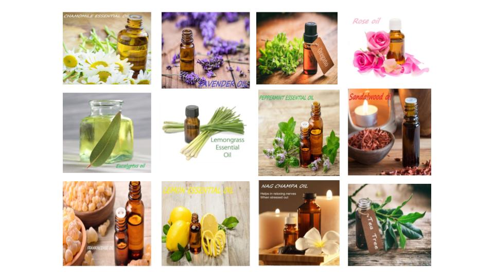 REJUVE AYURVEDA | 361 OBrien Rd, Renfrew, ON K7V 2S1, Canada | Phone: (613) 432-5303
