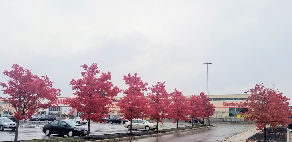 Canadian Tire Markham West | 2900 Major Mackenzie Dr E, Markham, ON L6C 0G9, Canada | Phone: (416) 907-8237