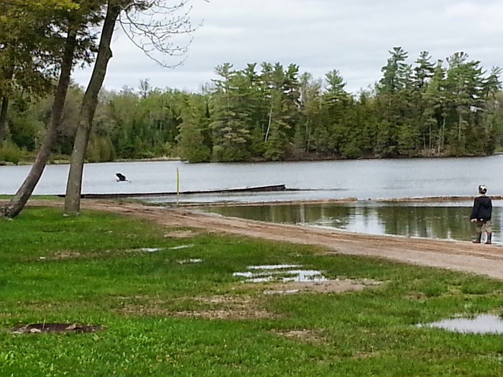 Woodland Camp Site | 209 Allens Rd, Lakehurst, ON K0L 1R0, Canada | Phone: (705) 933-8946