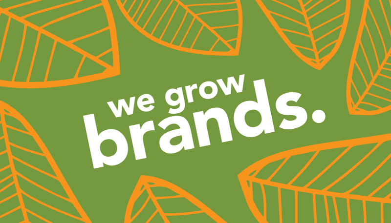 Seed Graphics | 53 Schreyer Dr, St Thomas, ON N5R 2N4, Canada | Phone: (519) 777-8106