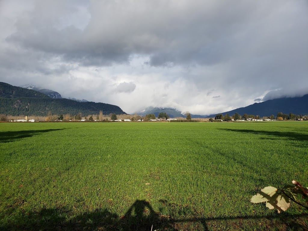 Fairfield Park | 46213 Clare Ave, Chilliwack, BC V2P 6M9, Canada | Phone: (604) 793-2904