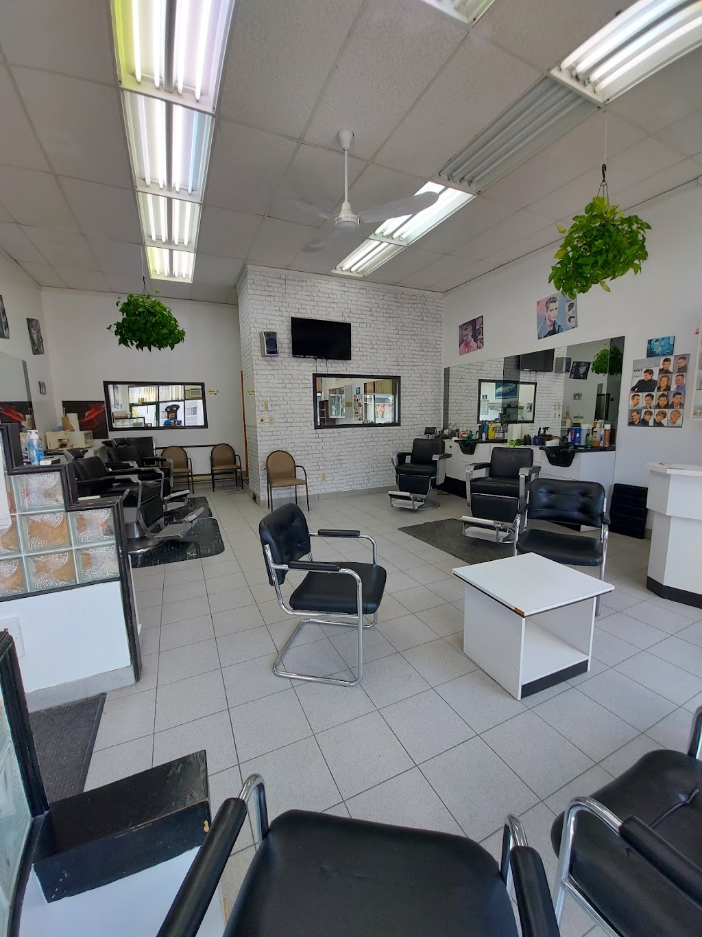 Dominico Paduano | 6126 Rue Jean-Talon E, Saint-Léonard, QC H1S 1M7, Canada | Phone: (514) 977-1680
