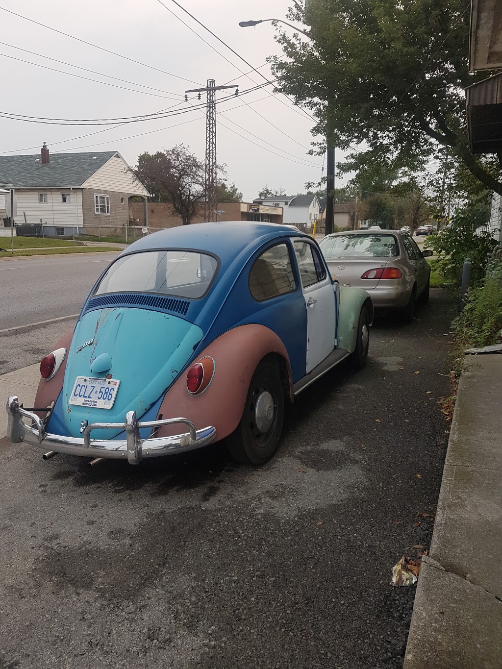 Johns Bug Shop | 1 Southworth St N, Welland, ON L3B 1X8, Canada | Phone: (905) 735-2847