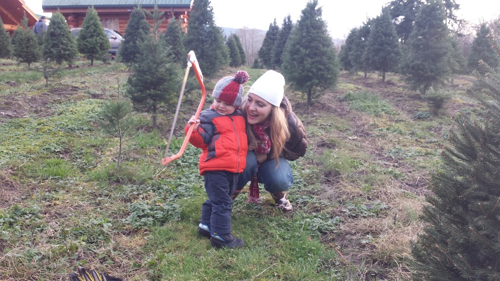 Fullner Christmas Tree Farm | 3783 E Hoff Rd, Everson, WA 98247, USA | Phone: (360) 592-5820