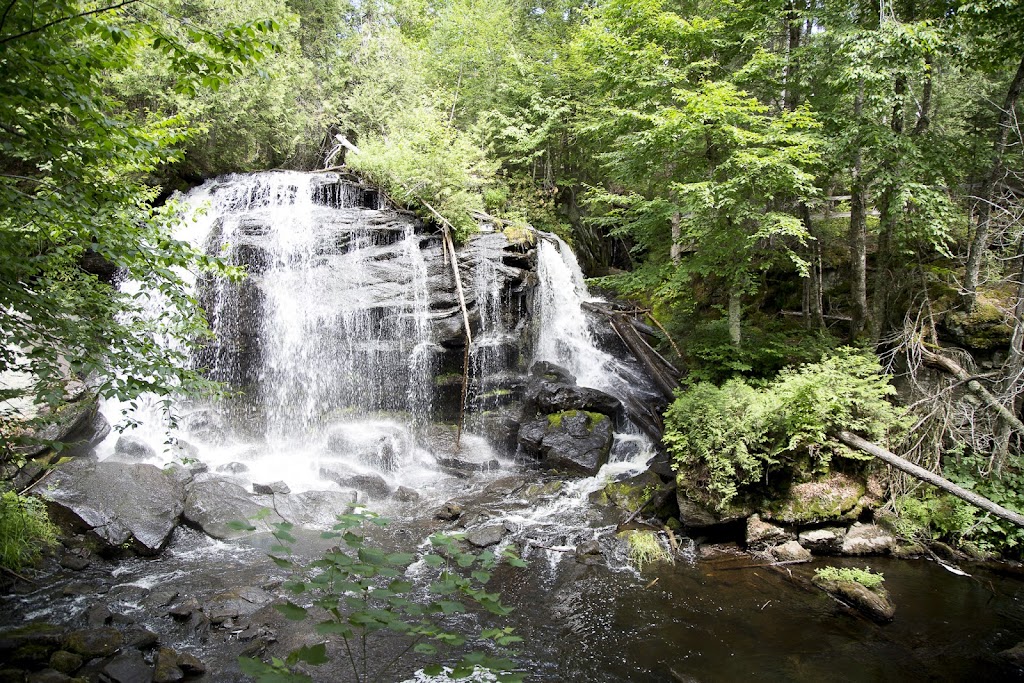 La Vérendrye Wildlife Reserve | 1070 3e avenue est, Val-dOr, QC J9P 0J6, Canada | Phone: (819) 354-4392