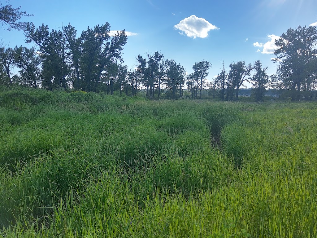 Blue Devil Golf Club | 2300 194 Ave SE, Calgary, AB T2X 0R3, Canada | Phone: (403) 452-7892