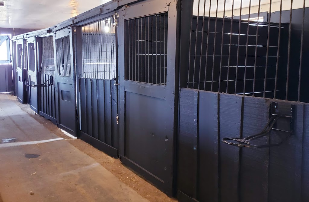 Raven Equestrian | 3816 Mountain Rd, Beamsville, ON L0R 1B2, Canada | Phone: (289) 441-6723