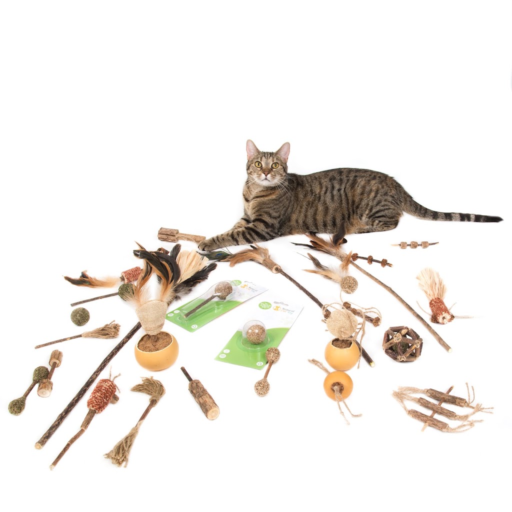Natural Cat Toy | 10511 Odlin Rd, Richmond, BC V6X 1E3, Canada | Phone: (778) 803-1280