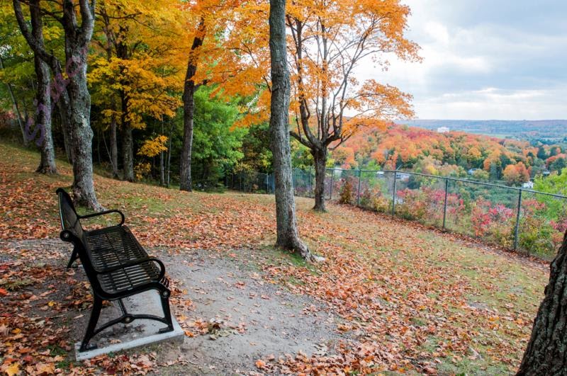 Motel Minden | 12600 ON-35, Minden, ON K0M 2K0, Canada | Phone: (705) 286-6900