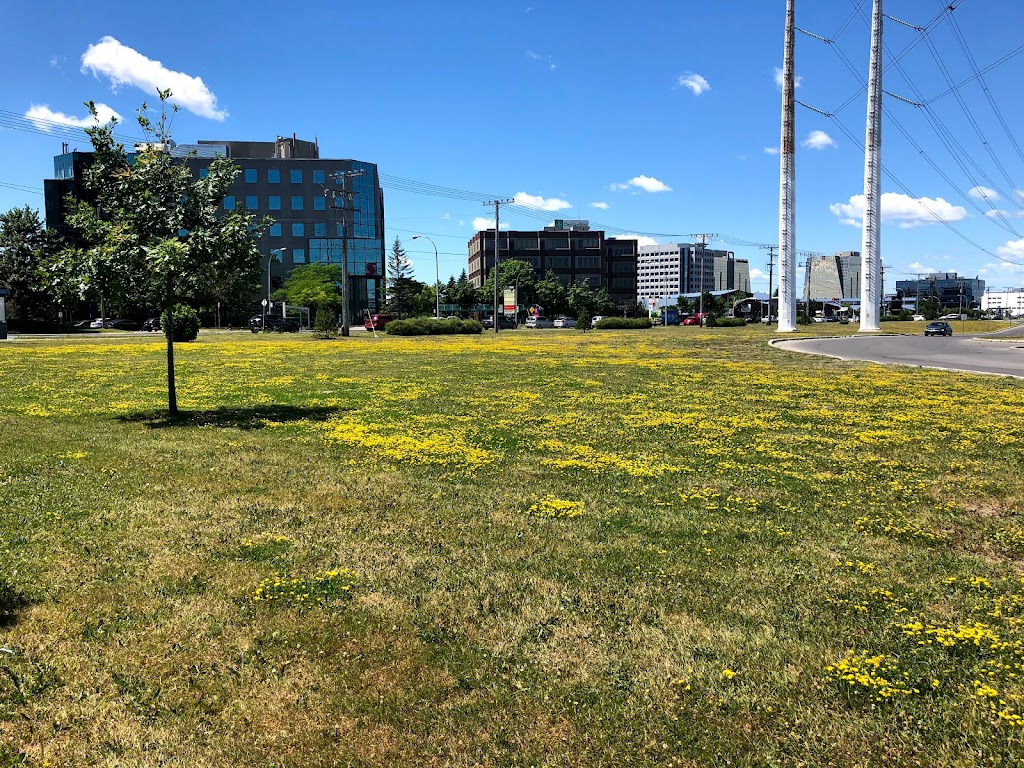 Collège CDI - St-Léonard | 9480 Bd Lacordaire bur. 204, Montréal, QC H1R 0C4, Canada | Phone: (800) 251-6621