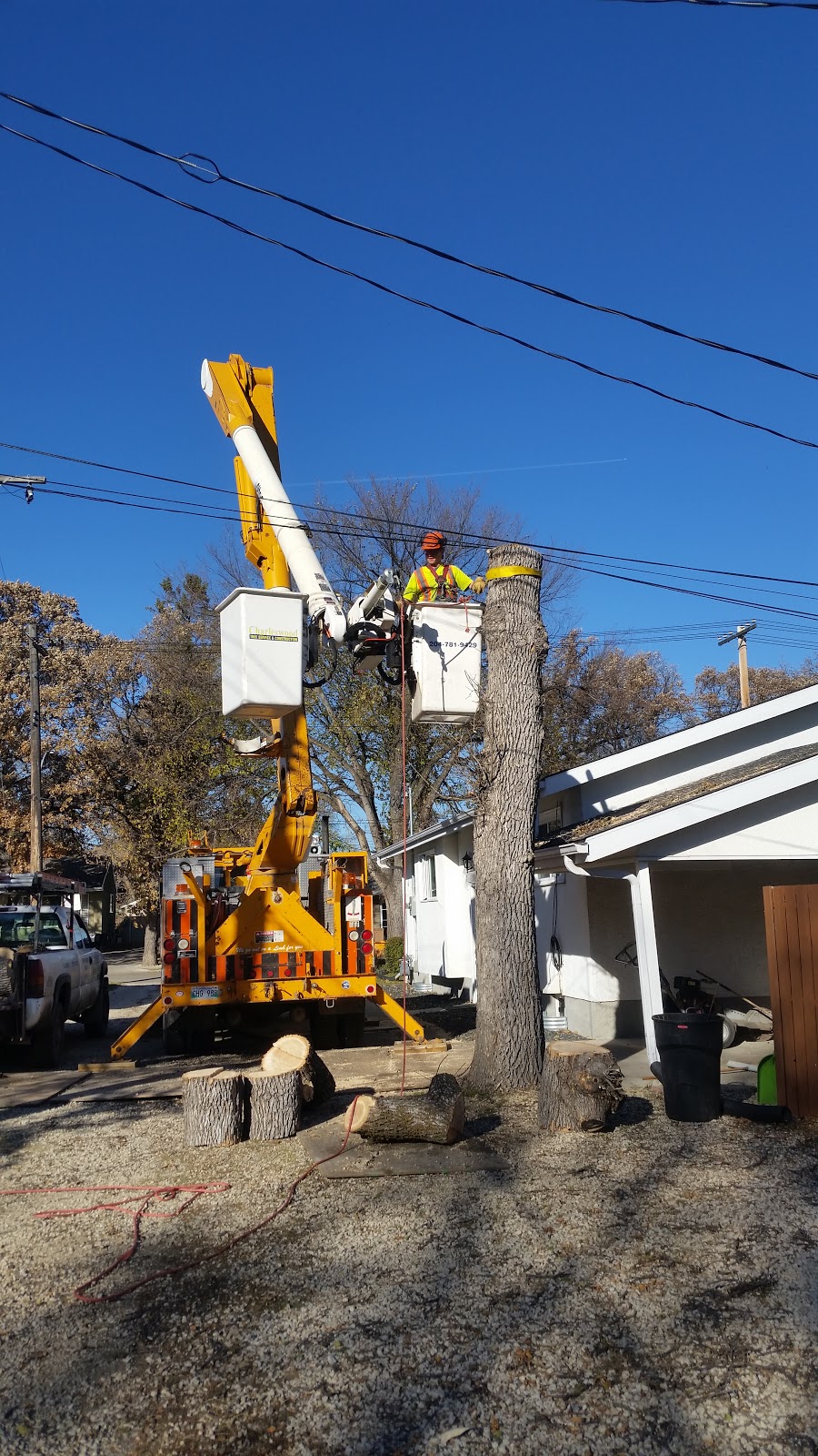 Charleswood Tree Service | 11 sabrina way, Headingley, MB R3S 1C5, Canada | Phone: (204) 781-9429