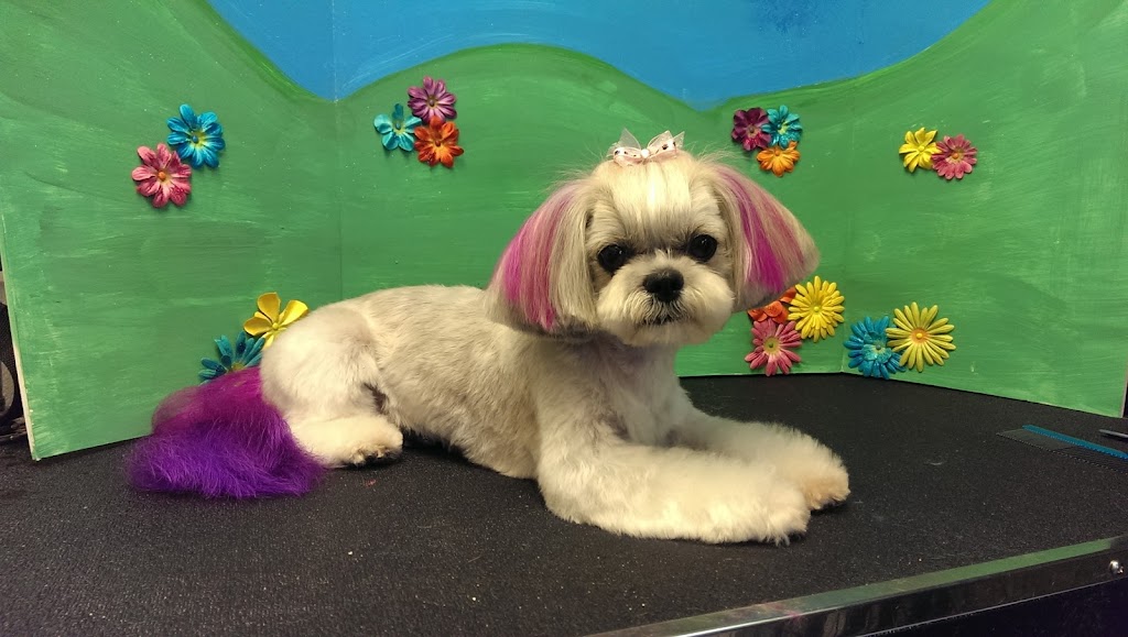 Itzaclip! Doggy Day Spa | 6004 Imperial Way #3, Olds, AB T4H 1M5, Canada | Phone: (403) 556-3000