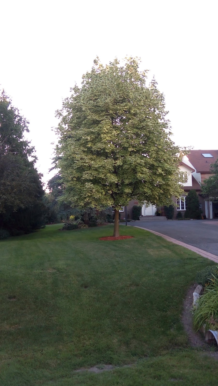 Centennial Park | 5572 Dr Leach Dr, Manotick, ON K4M 1C8, Canada