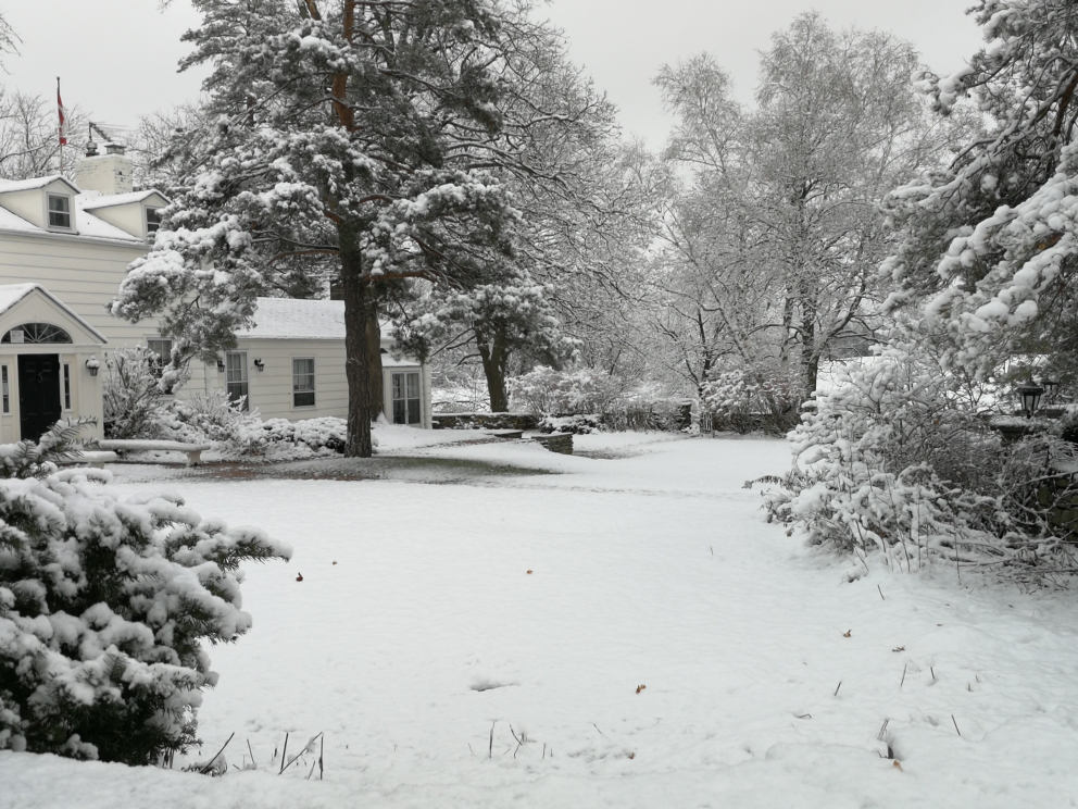 Scotsdale Farm | 13807 Trafalgar Rd N, Georgetown, ON L7G 4S4, Canada | Phone: (289) 924-0215